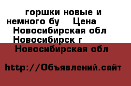 горшки новые и немного бу  › Цена ­ 10 - Новосибирская обл., Новосибирск г.  »    . Новосибирская обл.